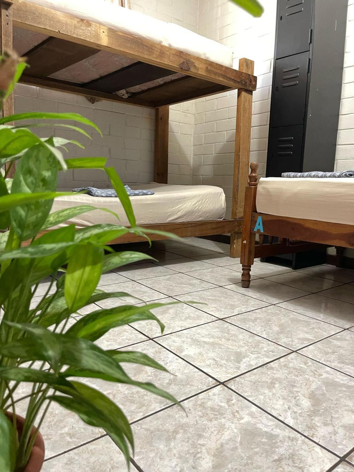 Pool House Hostel سانتا آنا المظهر الخارجي الصورة